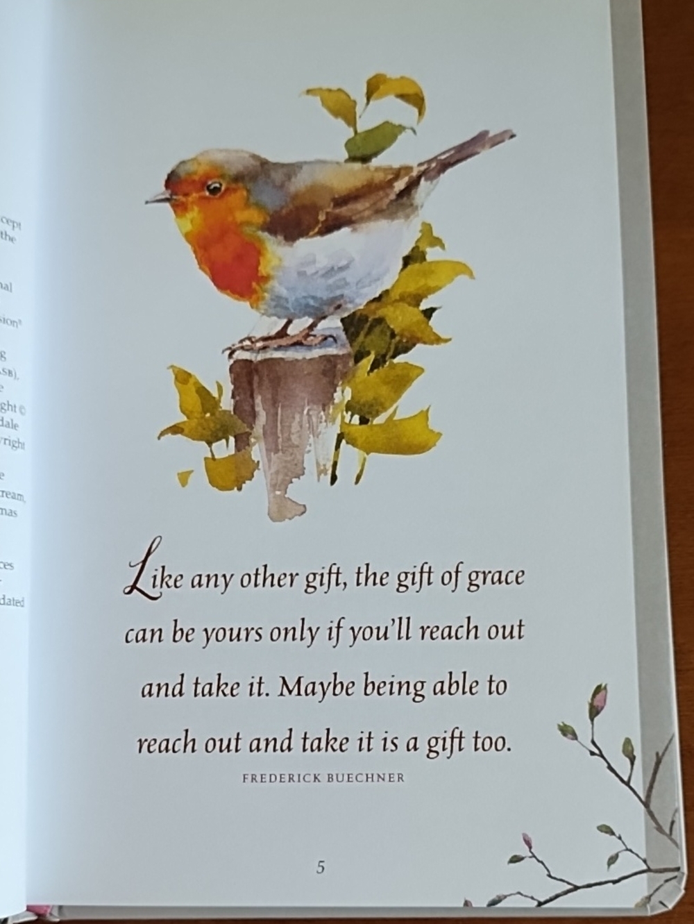 Everyday Grace 60 Devotions Scripture Quotes Art Drawings Ellie Claire Christian - Picture 4 of 11